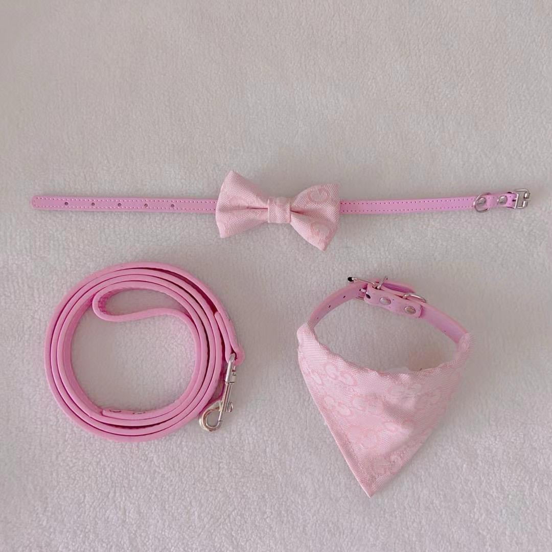 GINO Collar with Removable Bandana and Matching Leash