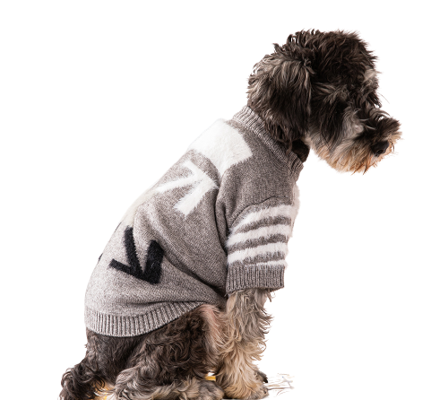 OFF-DOG Pullover