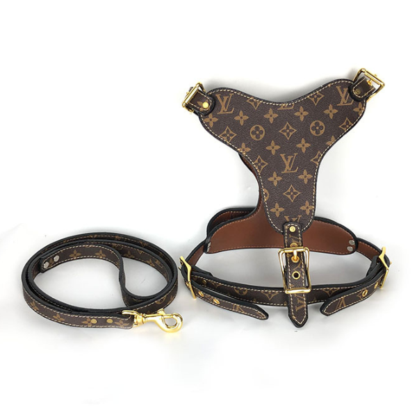 LOUIS PAWTTON HERO HARNESS & LEASH SET