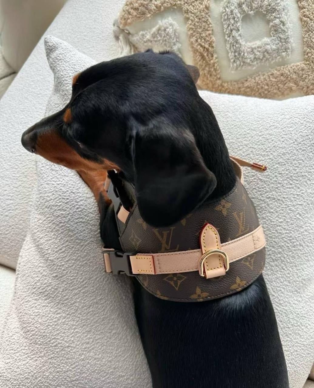 Leny Harness