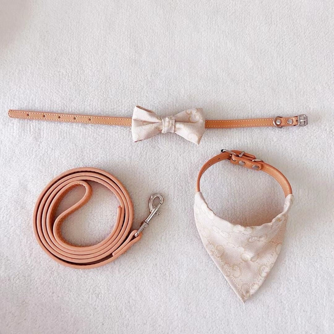 GINO Collar with Removable Bandana and Matching Leash