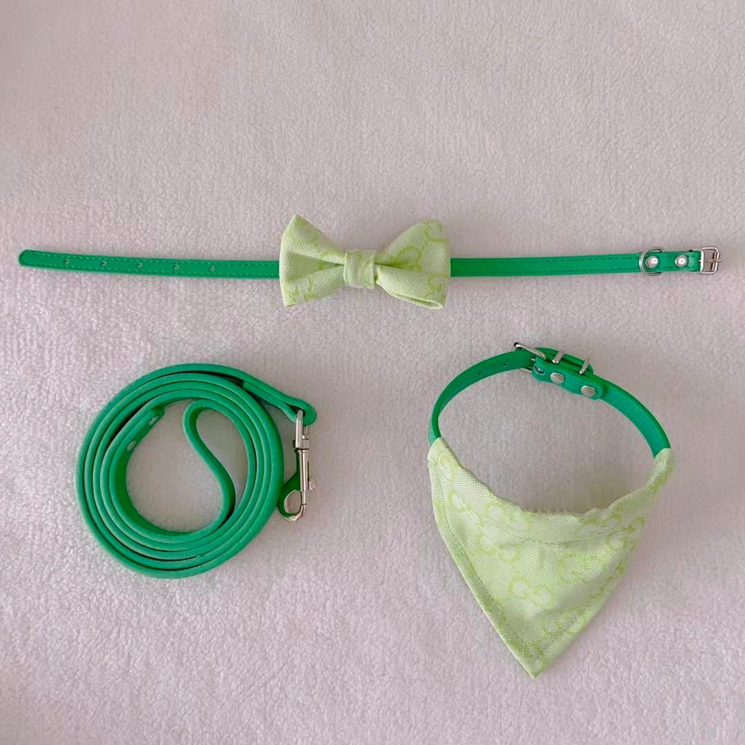 GINO Collar with Removable Bandana and Matching Leash