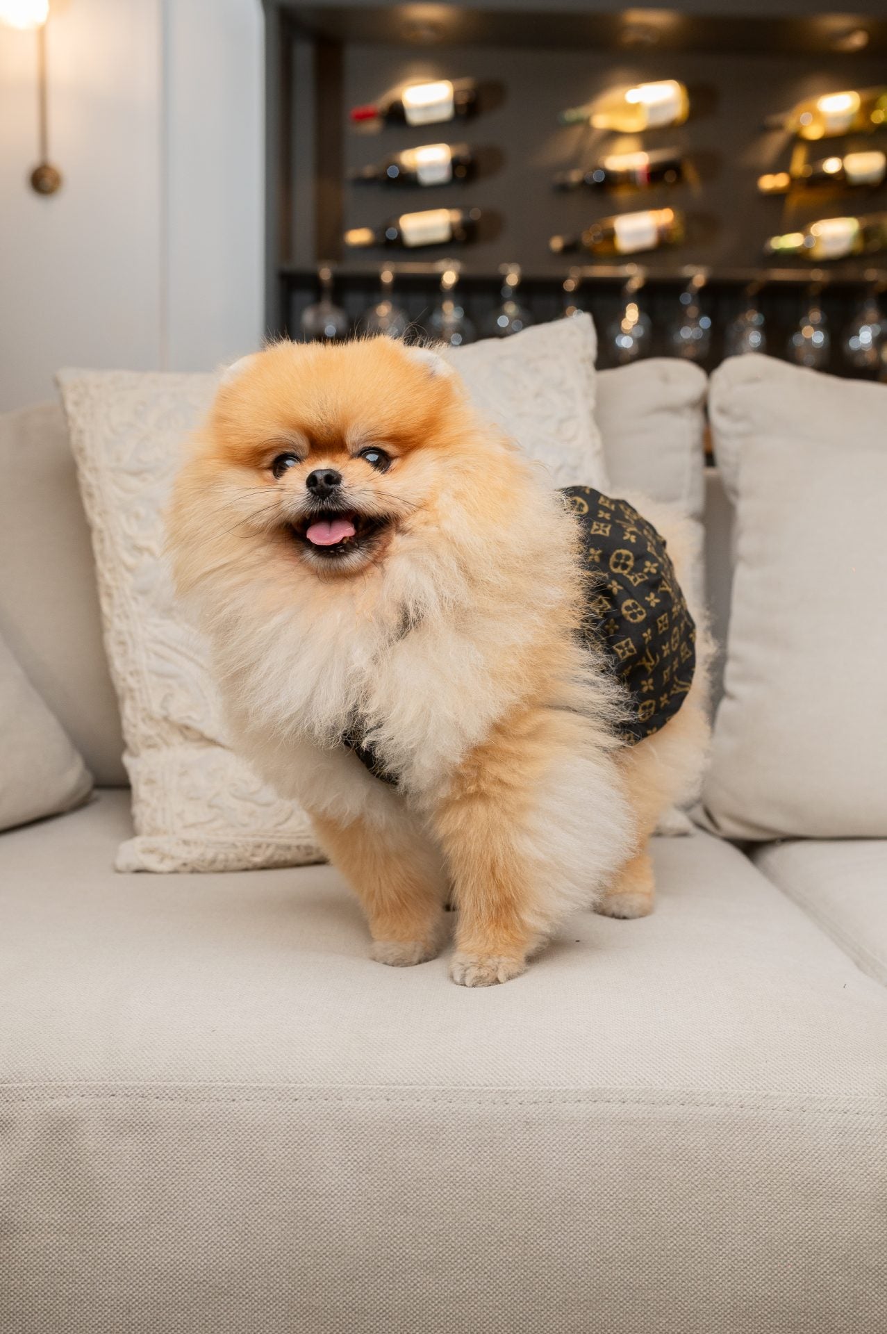 Louisa Pup Dress