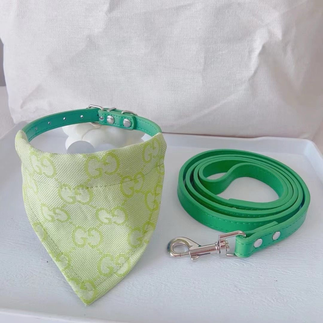 GINO Collar with Removable Bandana and Matching Leash