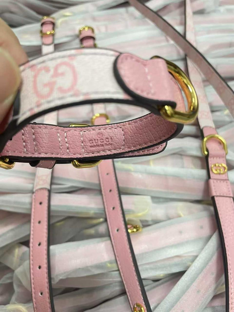 GUYLINA COLLAR & LEASH SET