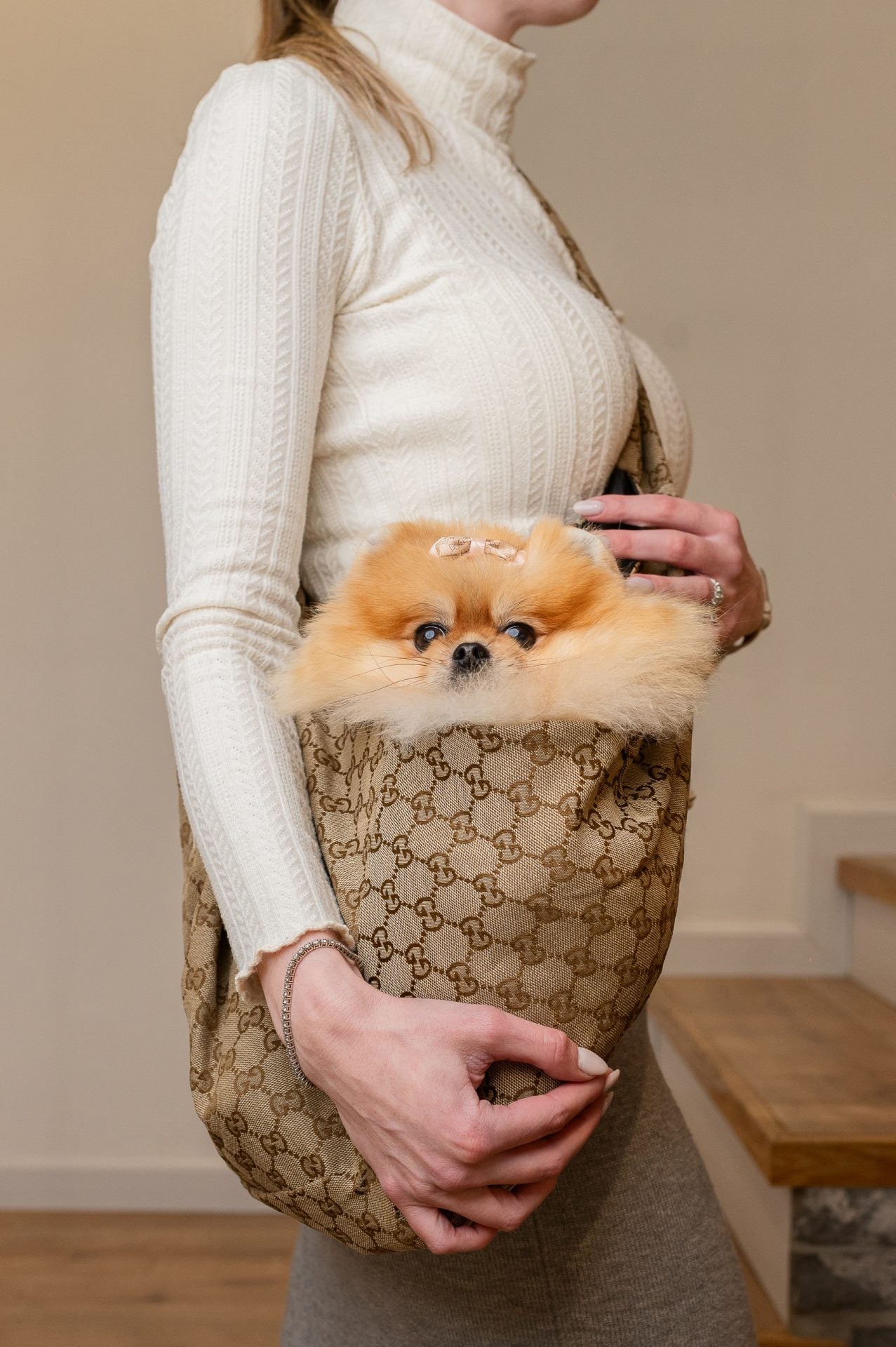 GUNA DOG CARRIER