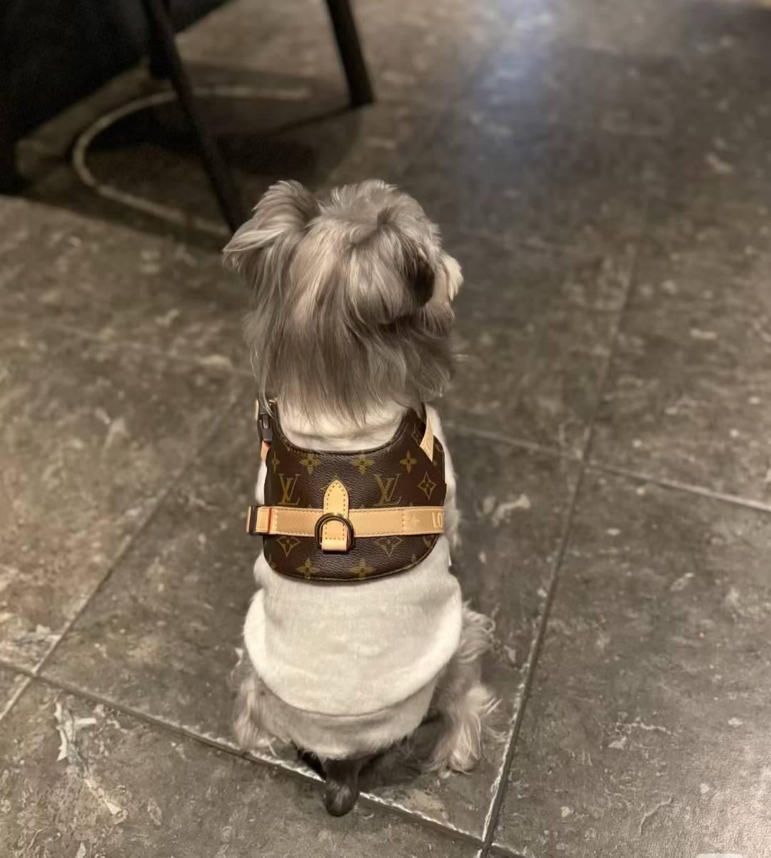 Leny Harness