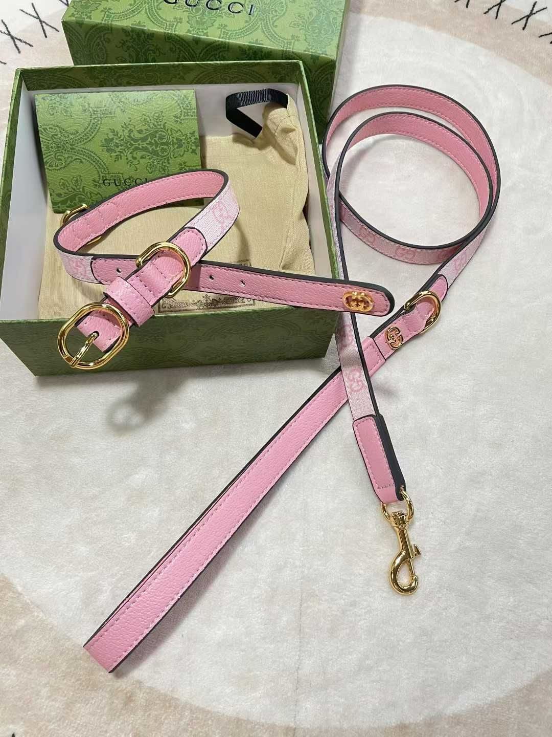 GUYLINA COLLAR & LEASH SET