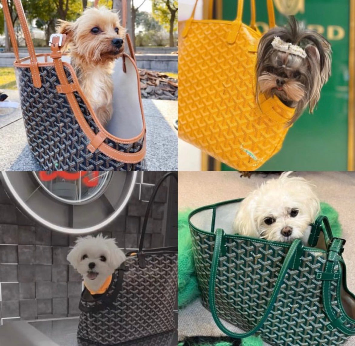 JAMPINO BAG