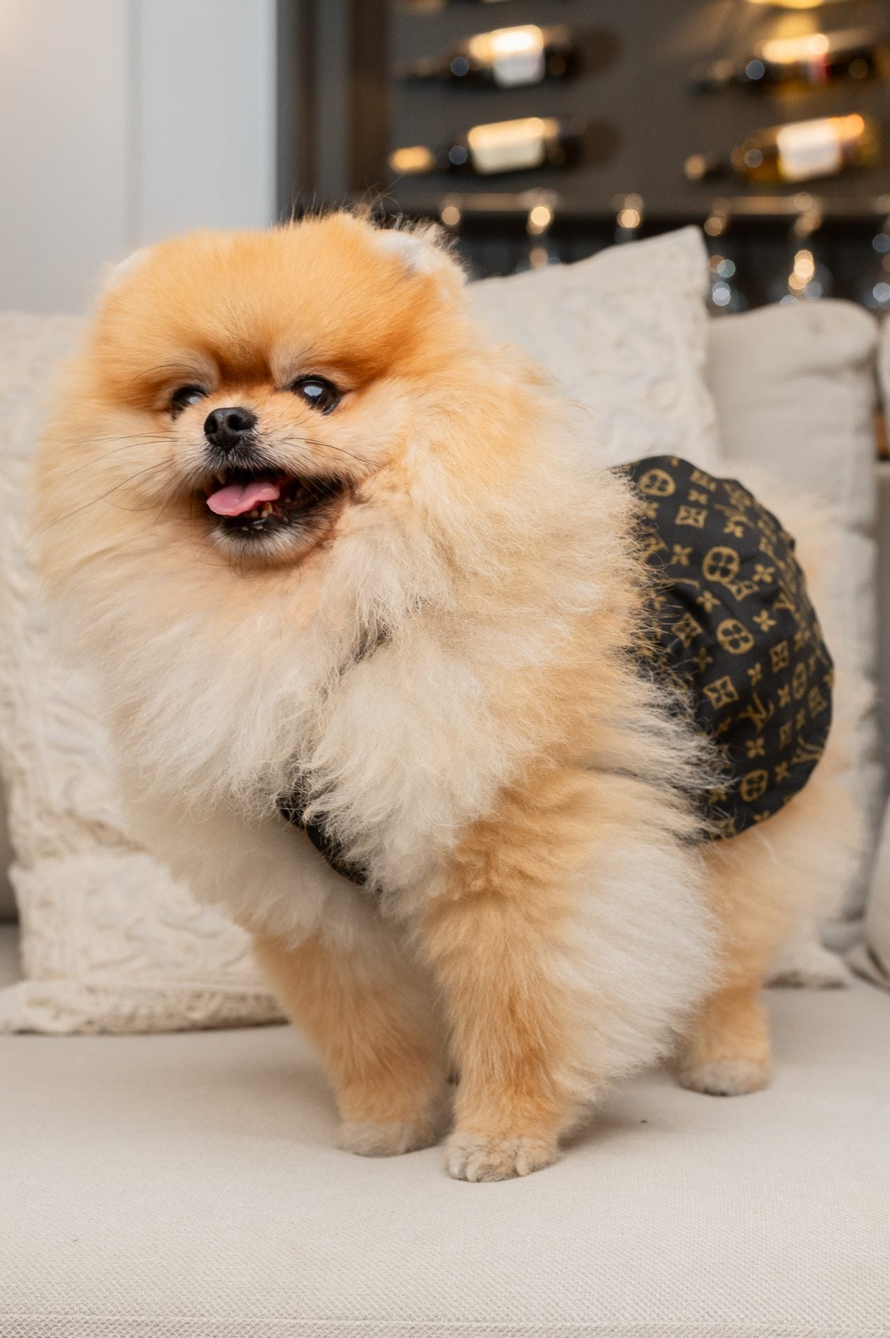 Louisa Pup Dress