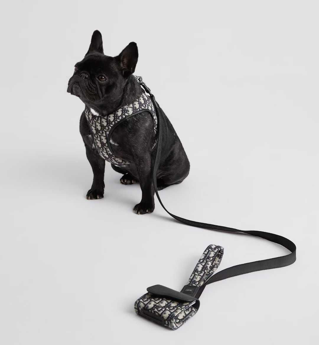 Cow leather 2-piece set