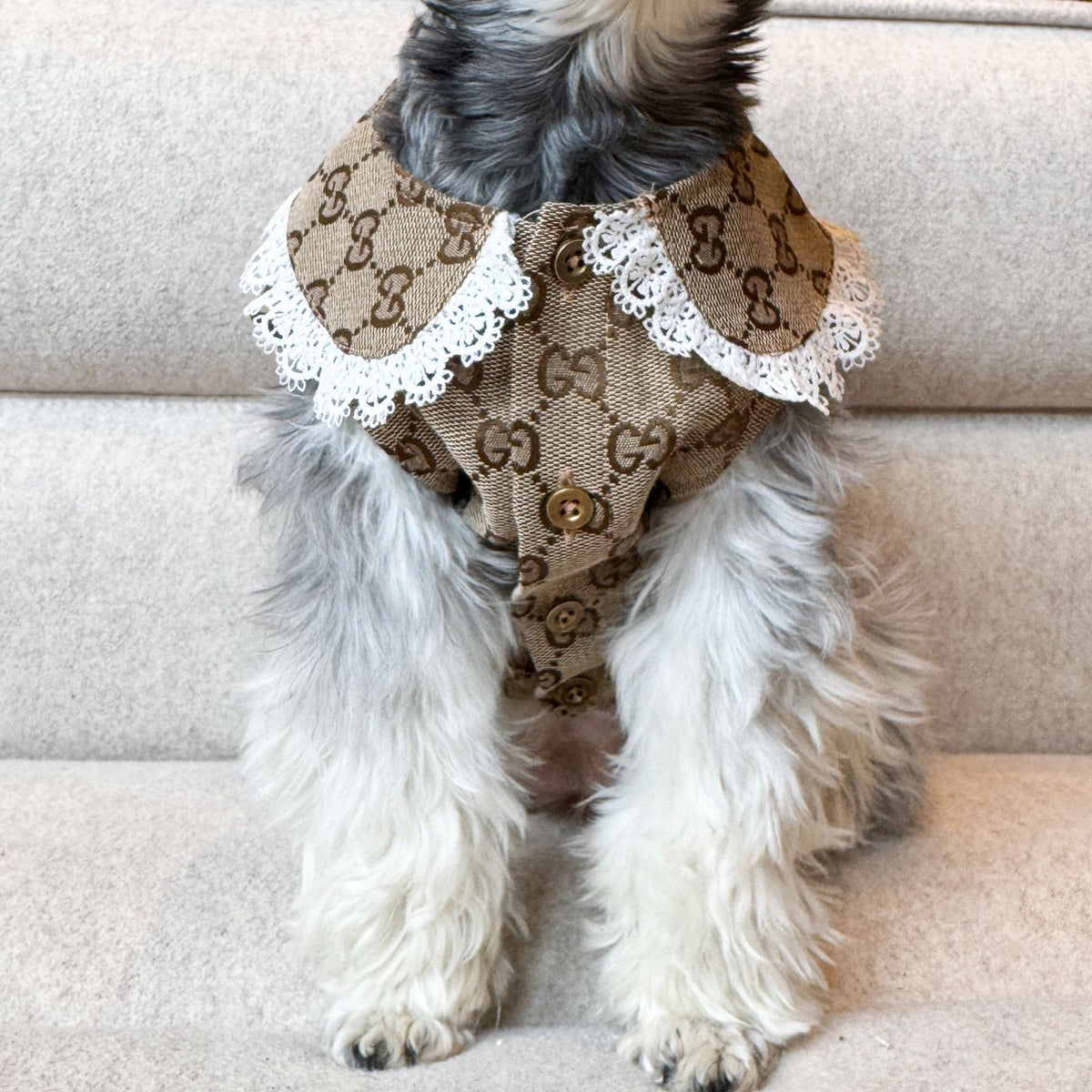 Cute Luna sweater