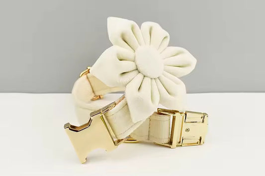 VELVET LUXE SET CREAM