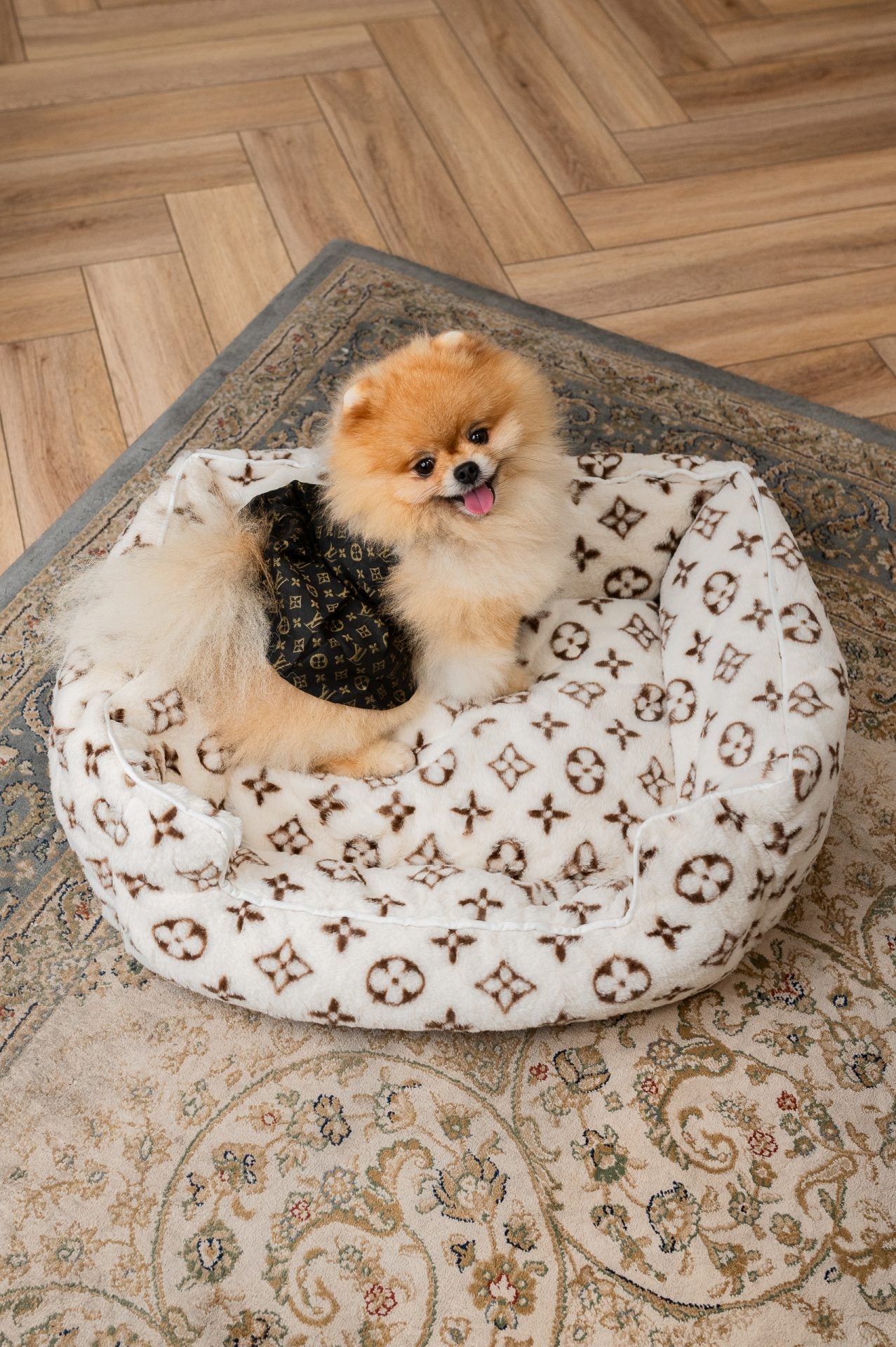 Louisa Pup Dress