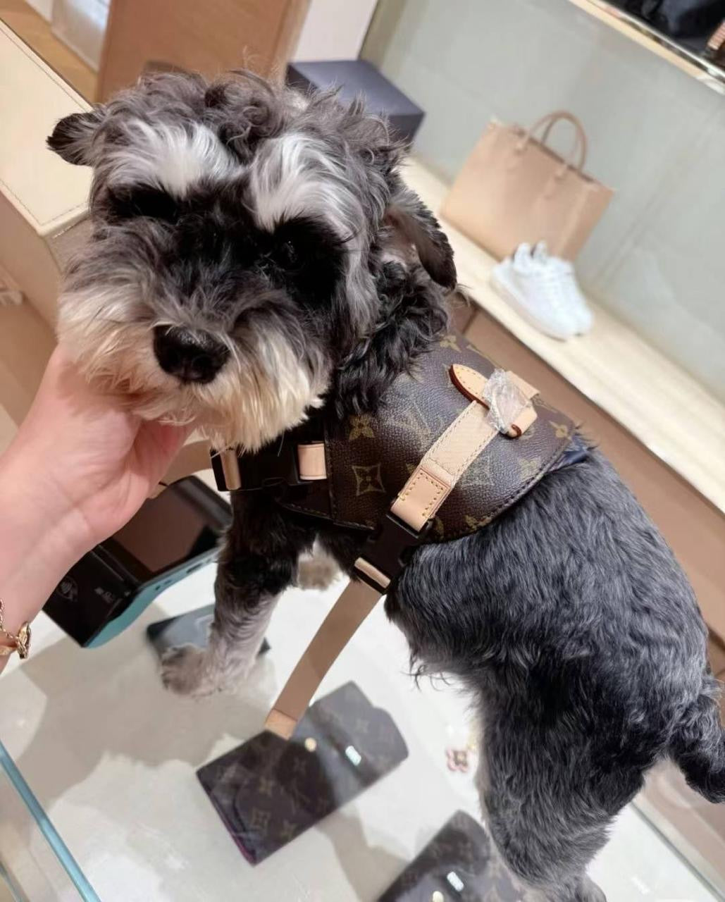 Leny Harness
