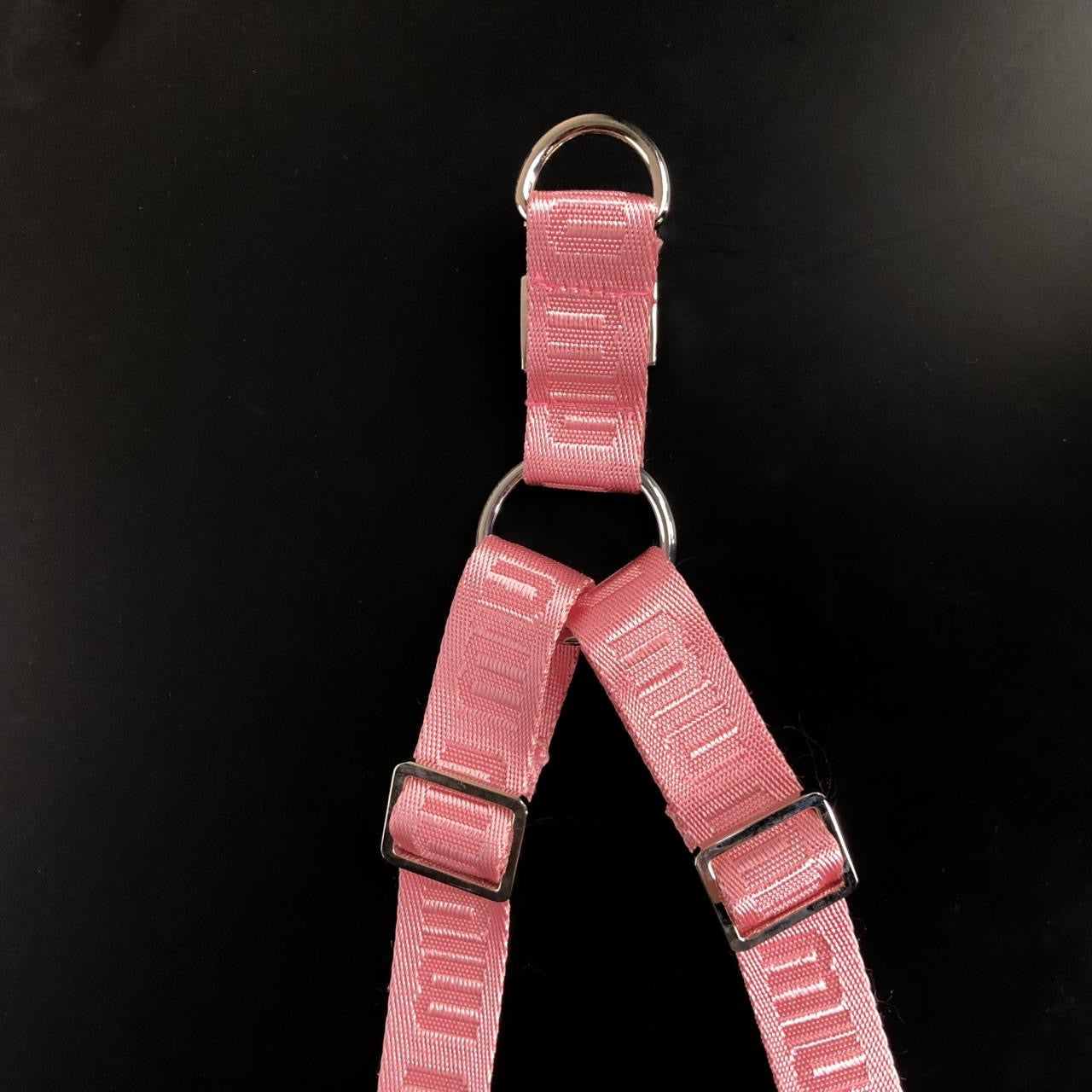Malina Harness & Leash set