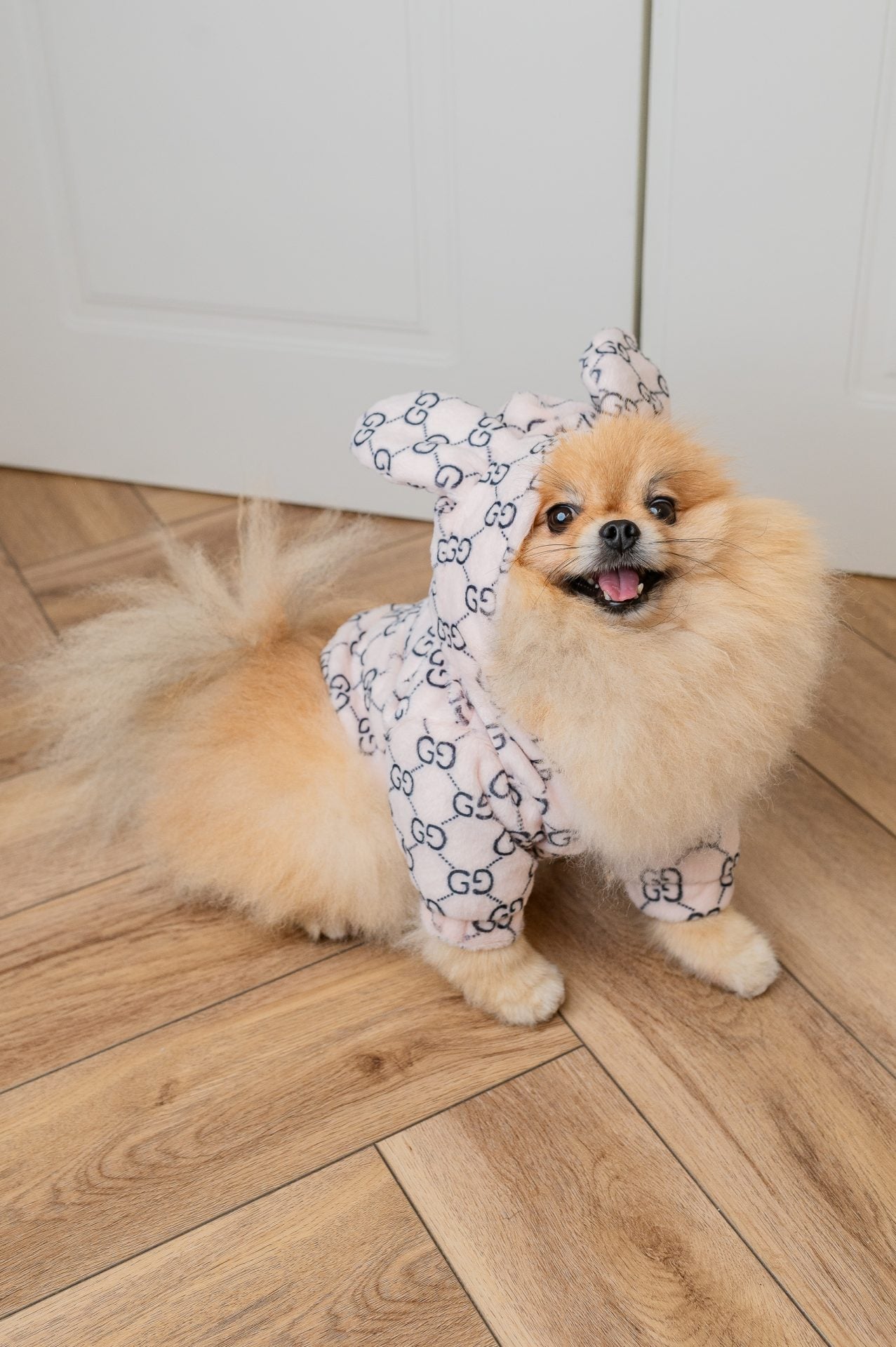 PUCCINO JACKE OHREN