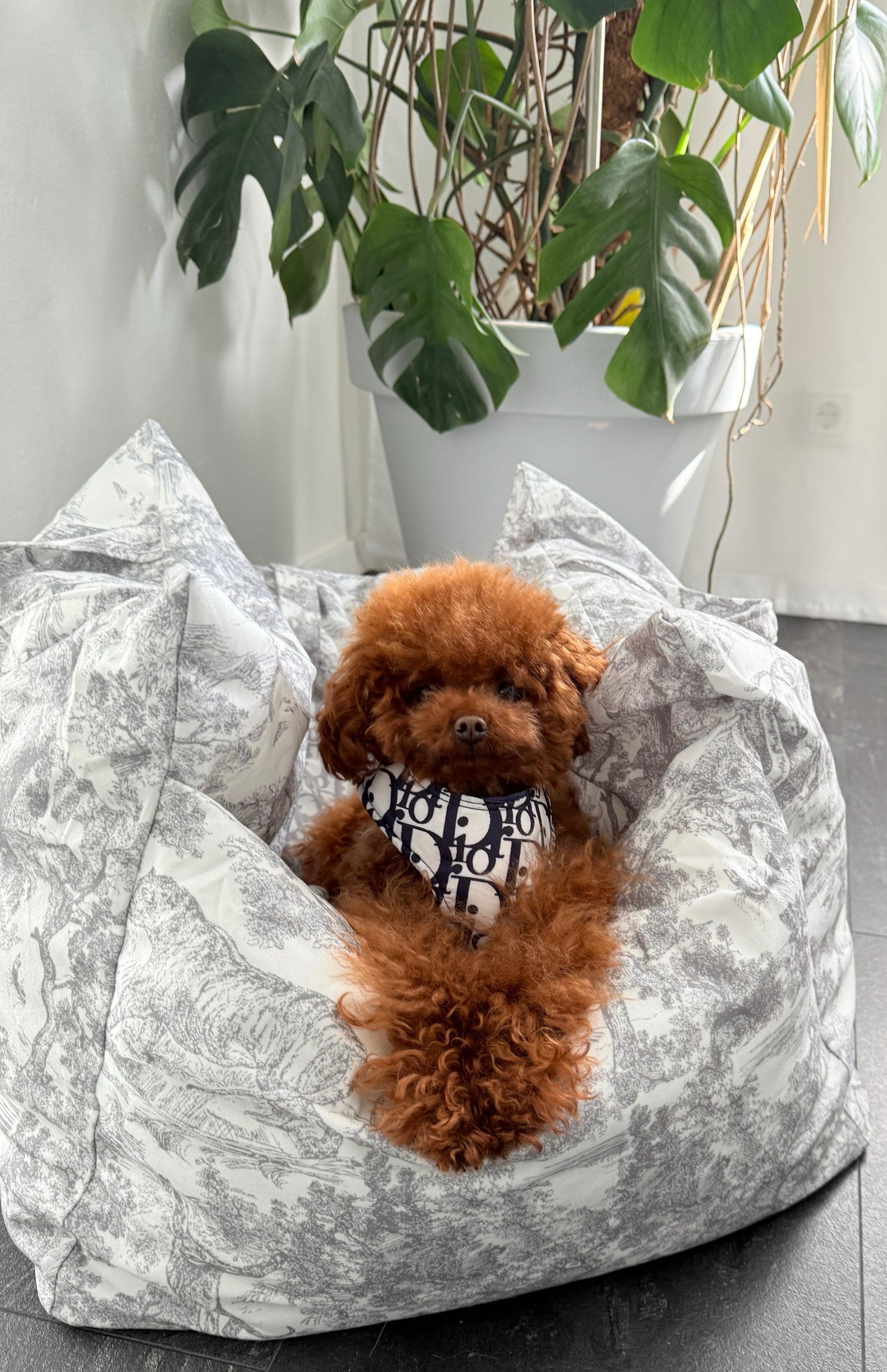 DIOARA DOG CAR SEAT