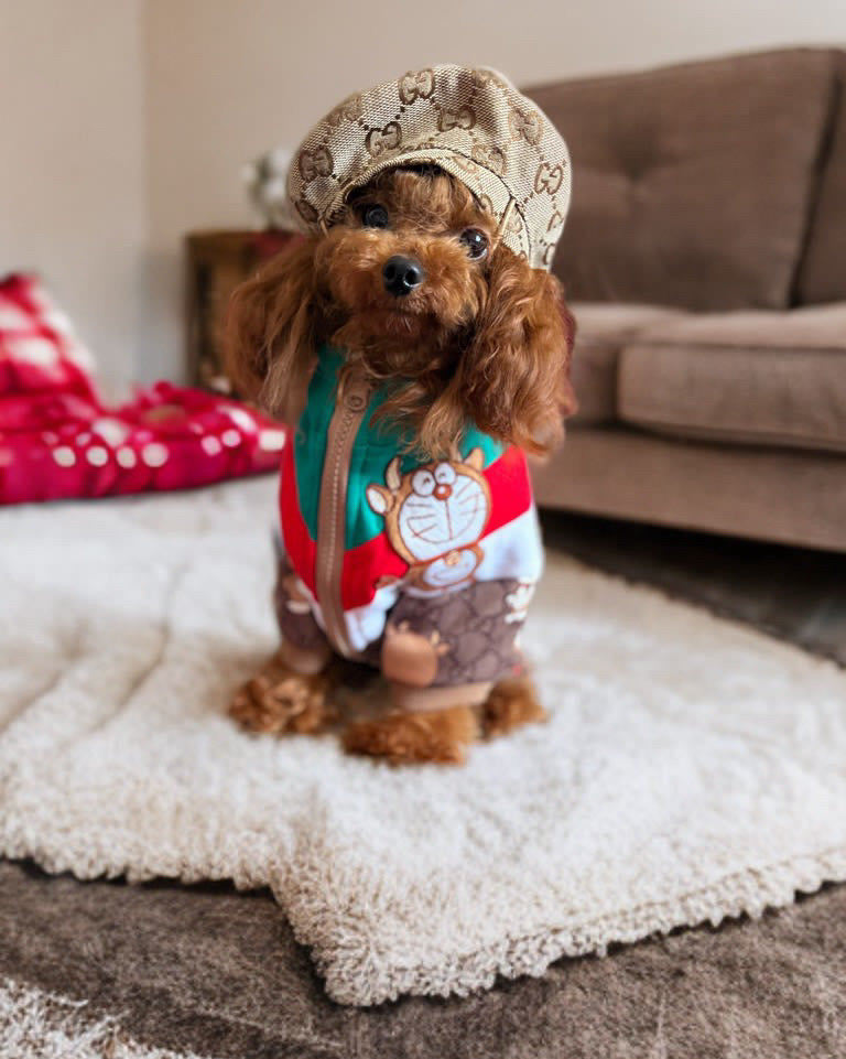 PAWCCI JACKET & HAT