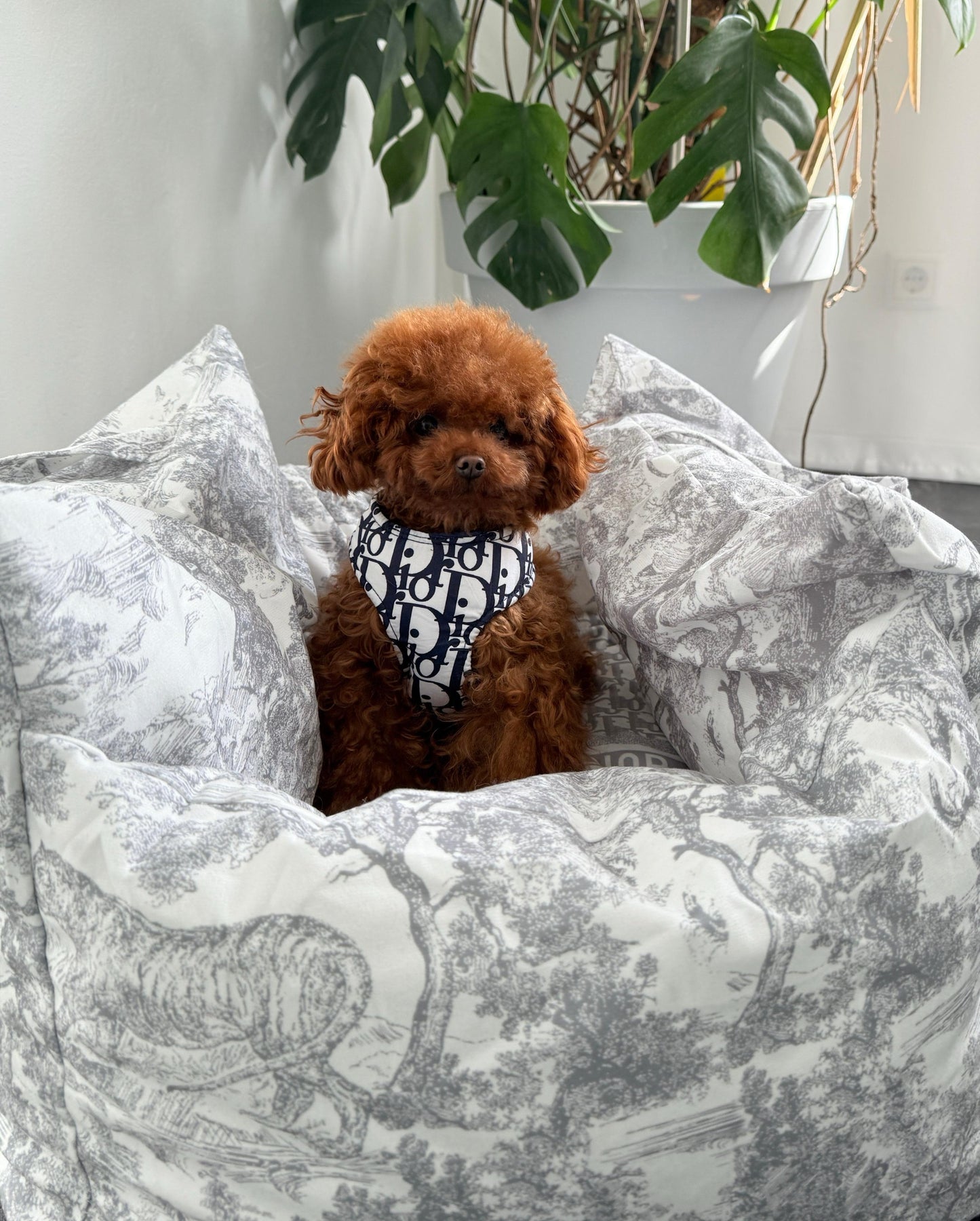 DIOARA DOG CAR SEAT