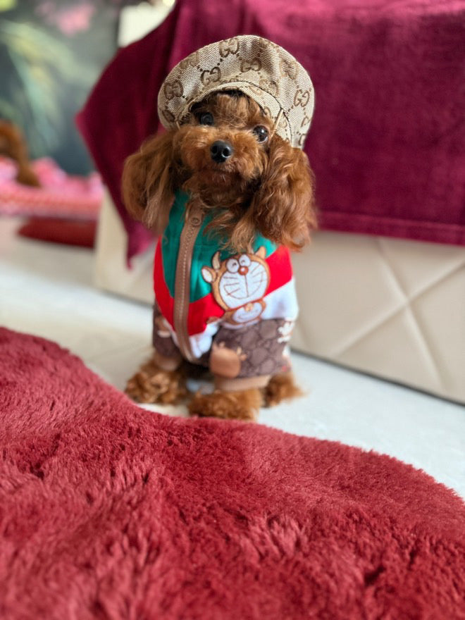 PAWCCI JACKET & HAT