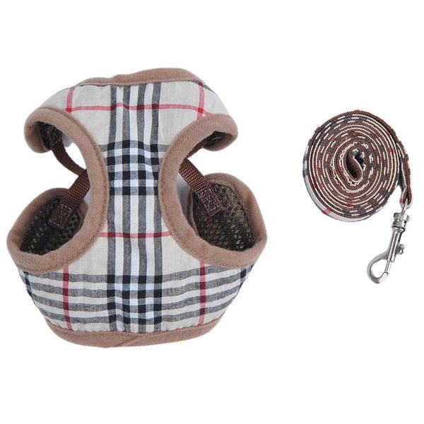 ZUMA GESCHIRR & LEINE SET