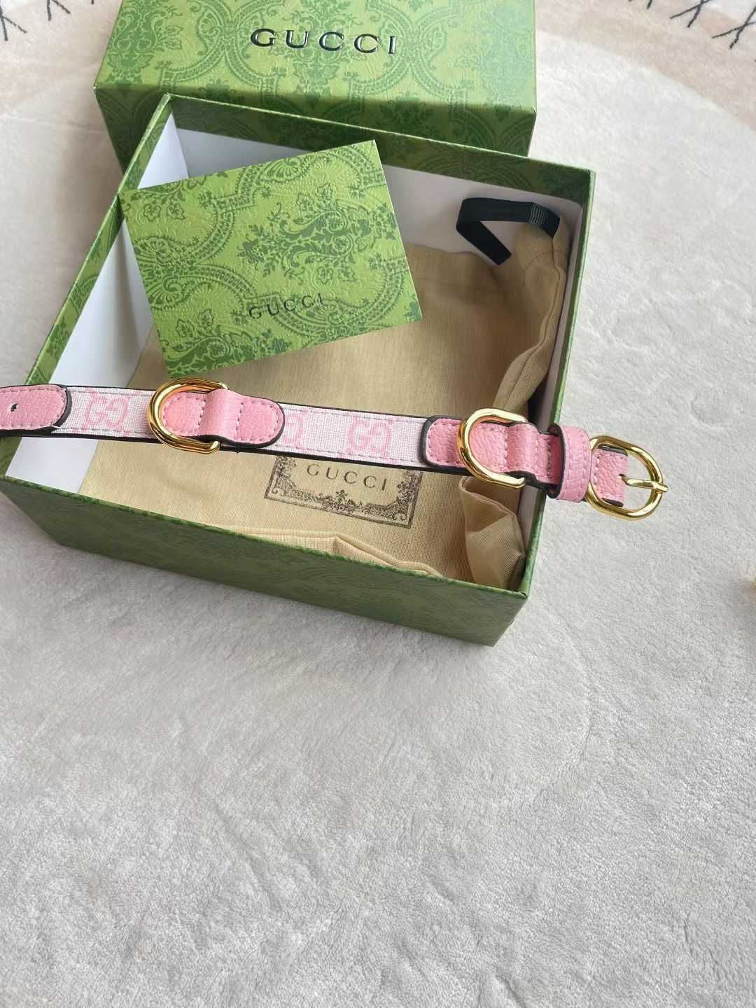 GUYLINA COLLAR & LEASH SET
