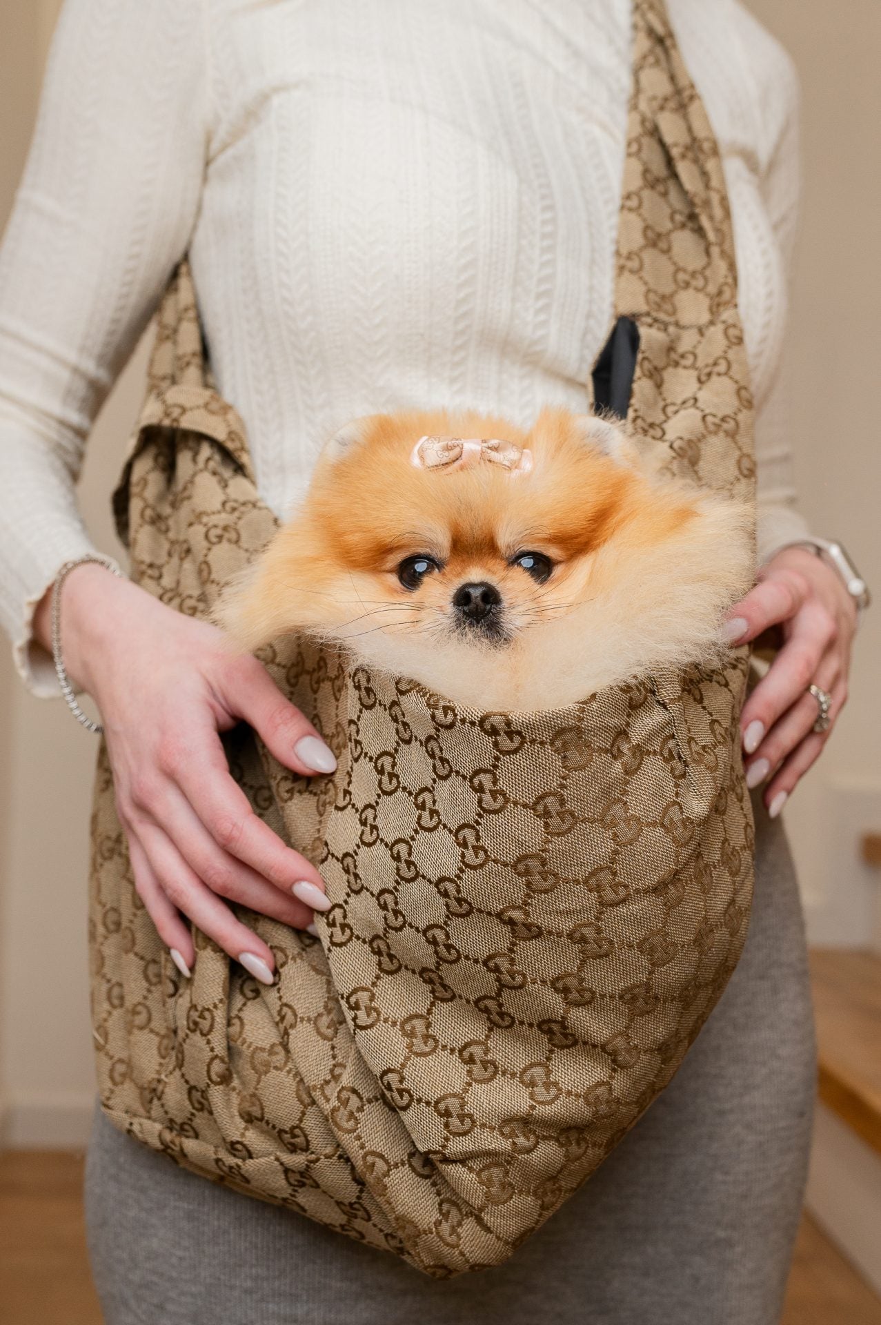 GUNA DOG CARRIER