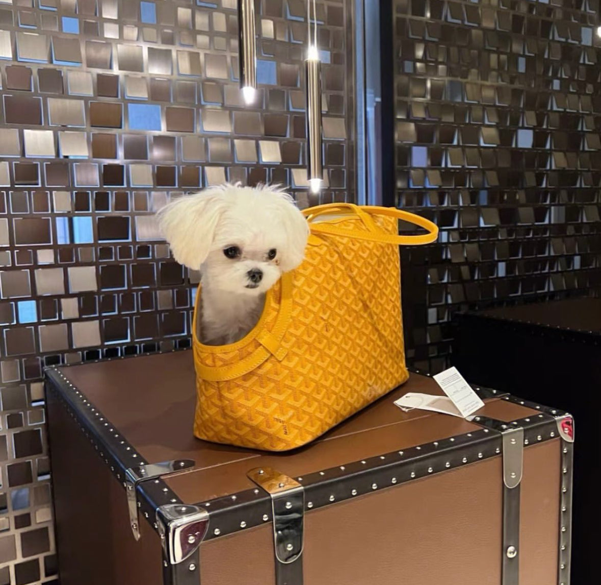 JAMPINO BAG