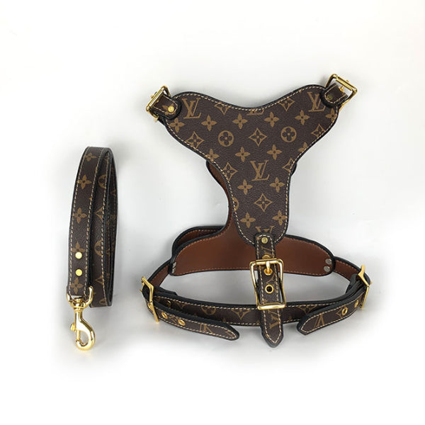 LOUIS PAWTTON HERO HARNESS & LEASH SET