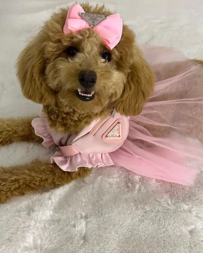 PAULA HAIR BOW (1 Piece)
