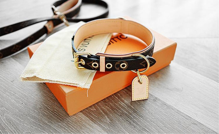 AMELIA Dog Collar & Leash
