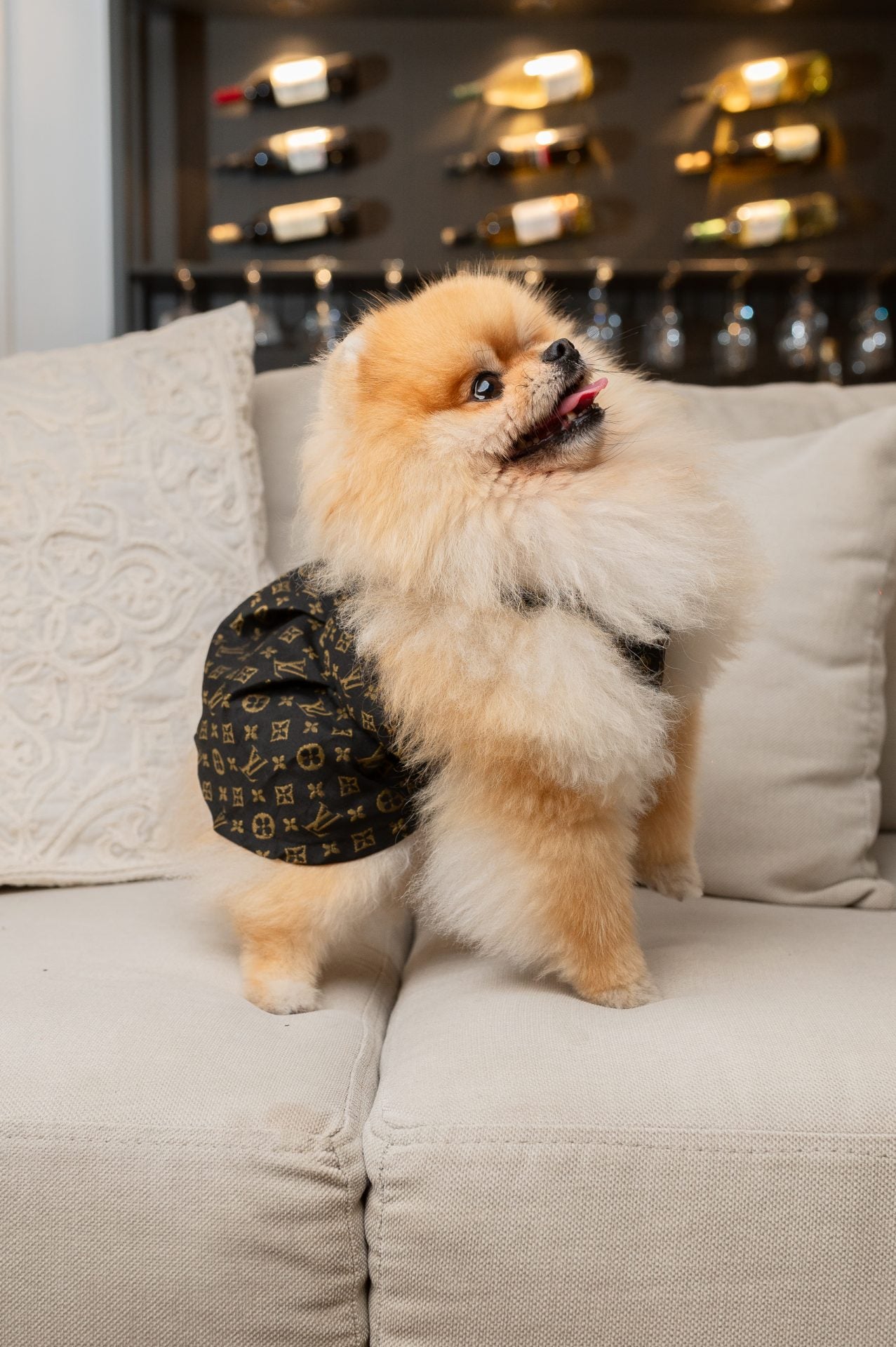 Louisa Pup Dress