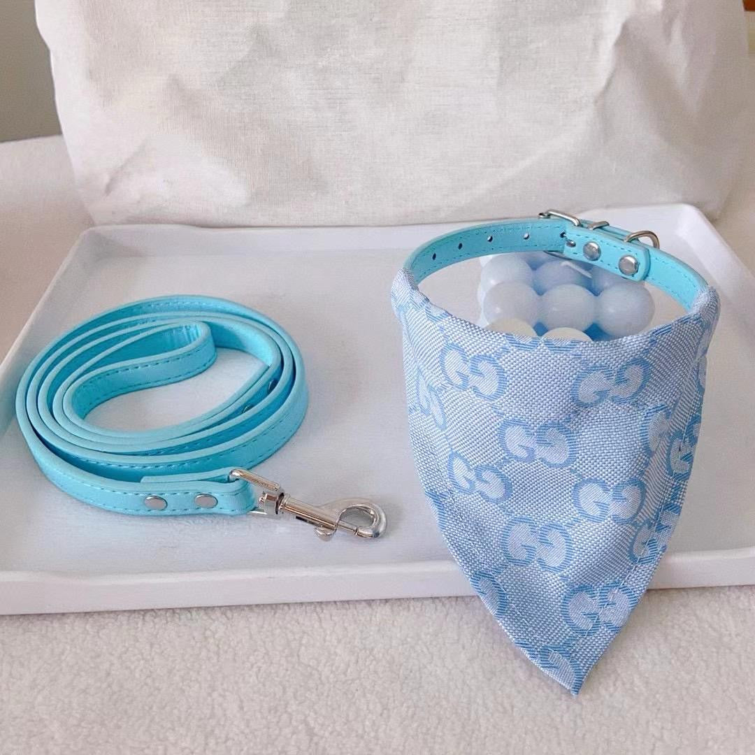 GINO Collar with Removable Bandana and Matching Leash