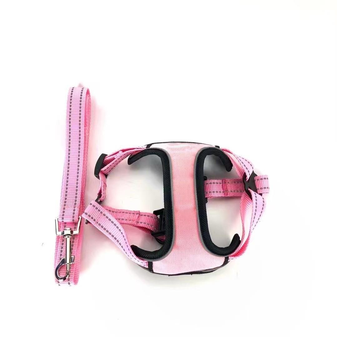 Chanyla Harness & Leash set