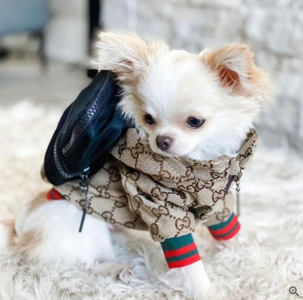 Zoi Dog Jacket