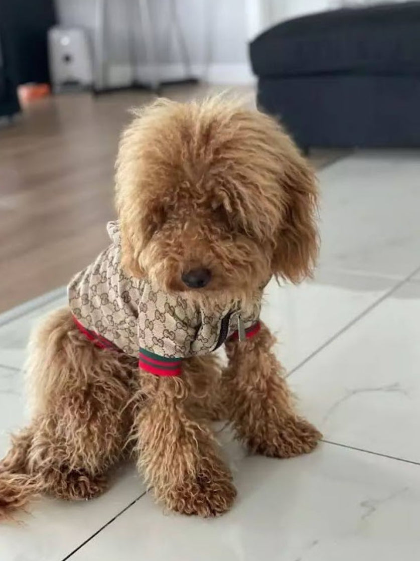 Zoi Dog Jacket