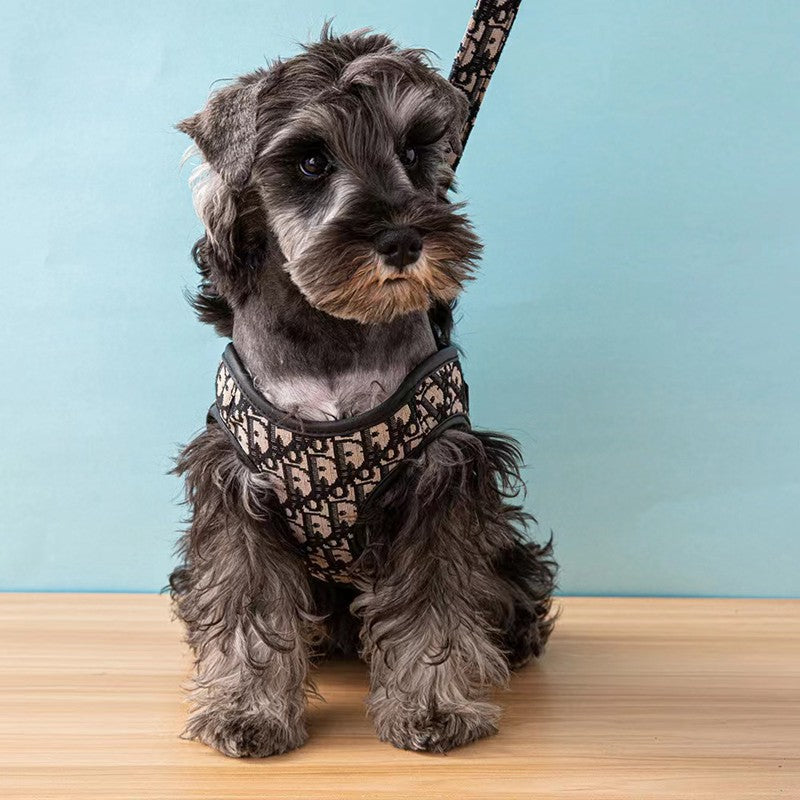 Dogior Harness & Leash Set