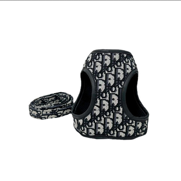 Dogior Harness & Leash Set
