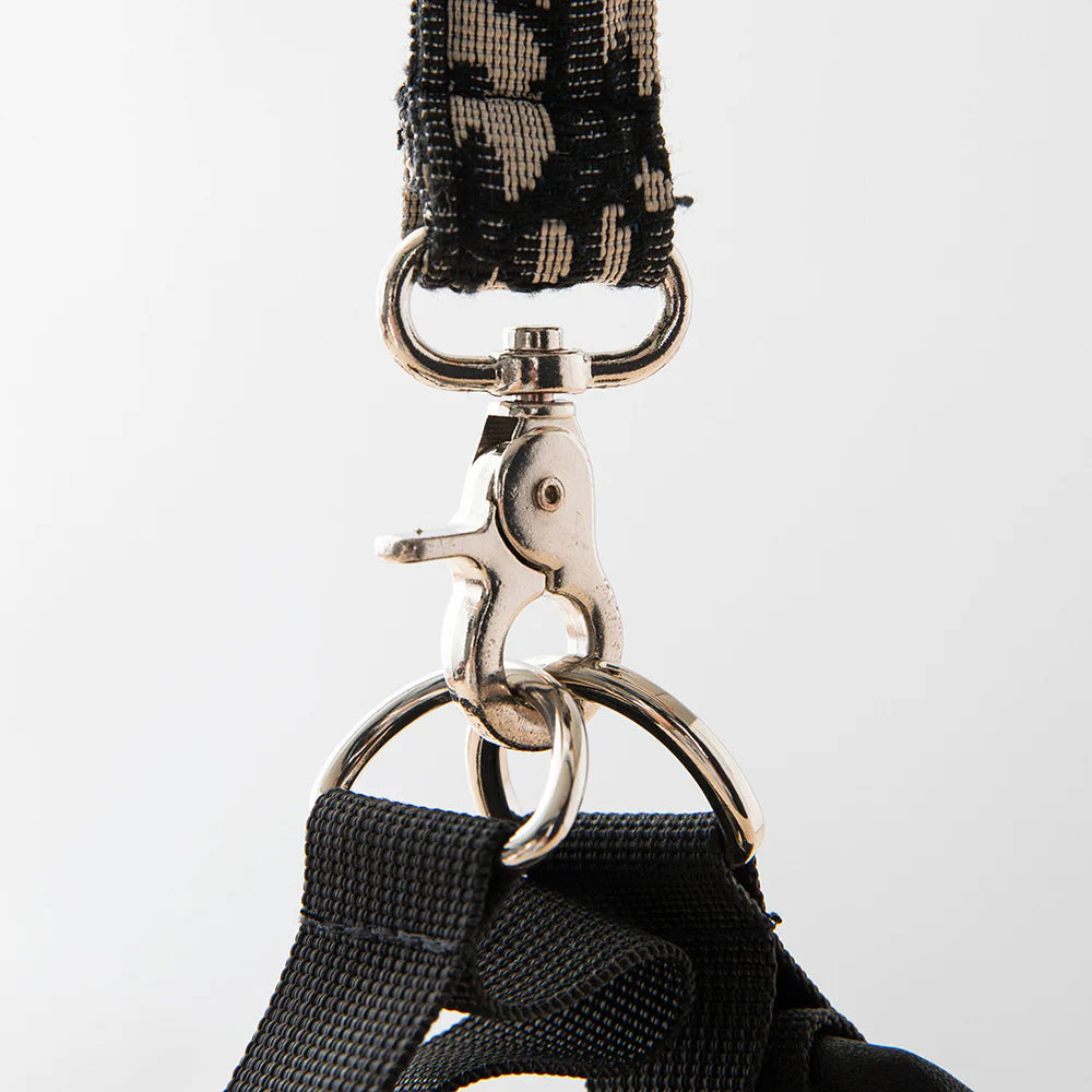 Dogior Harness & Leash Set