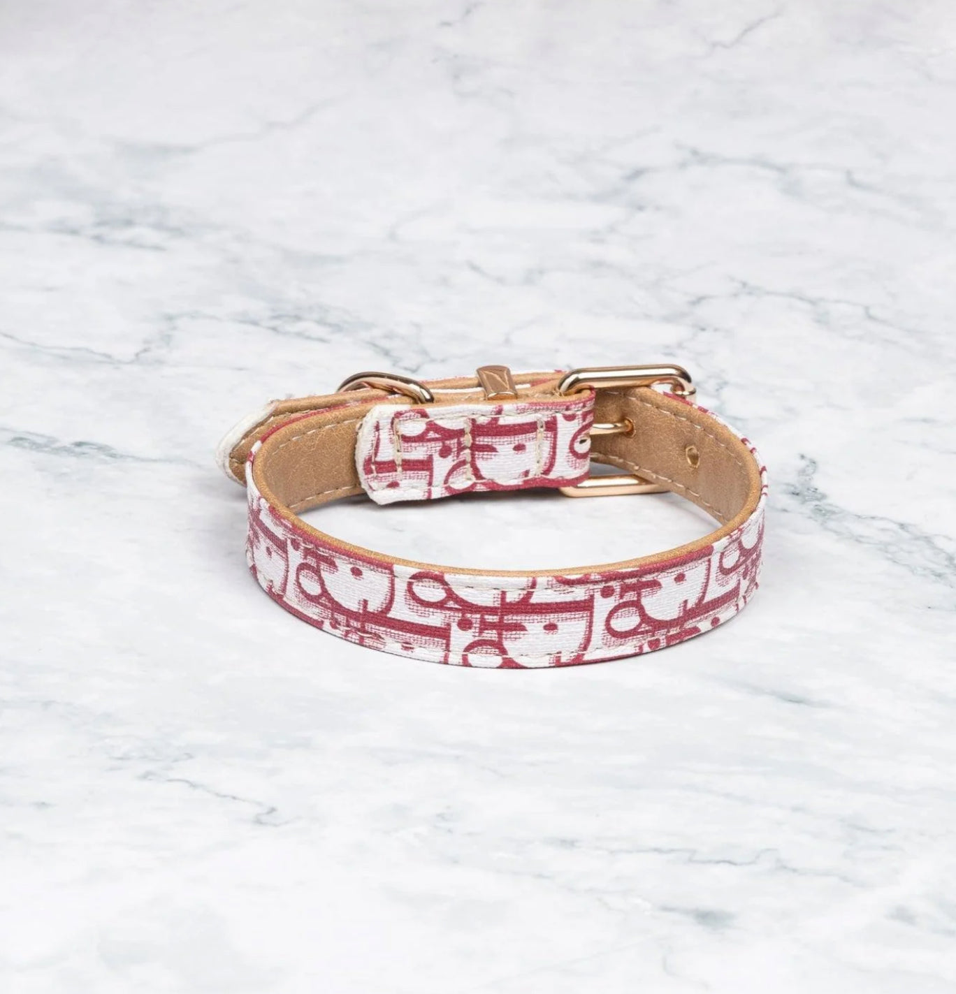 DONATO COLLAR & LEASH SET