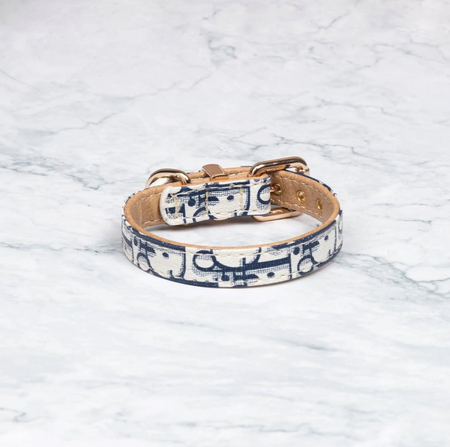 DONATO COLLAR & LEASH SET