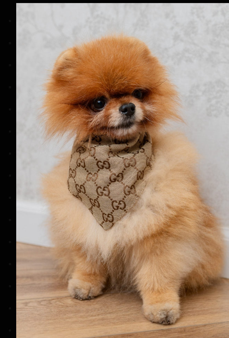 SCARF GIOGIO