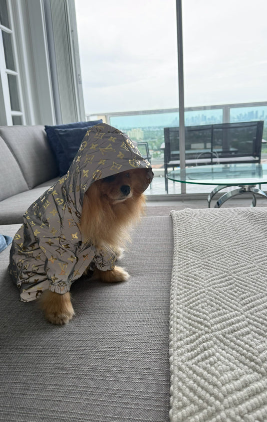 RAIN COAT
