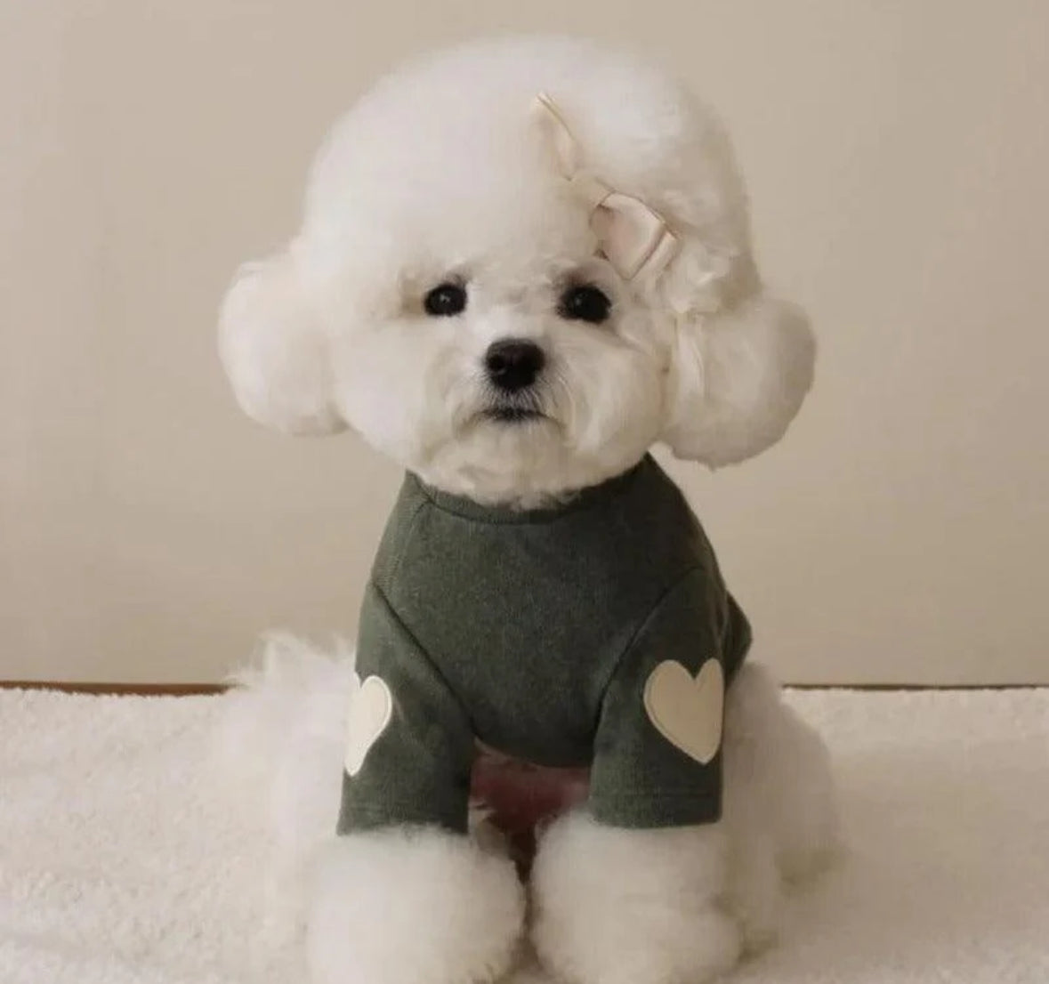 HERZIGER PULLOVER