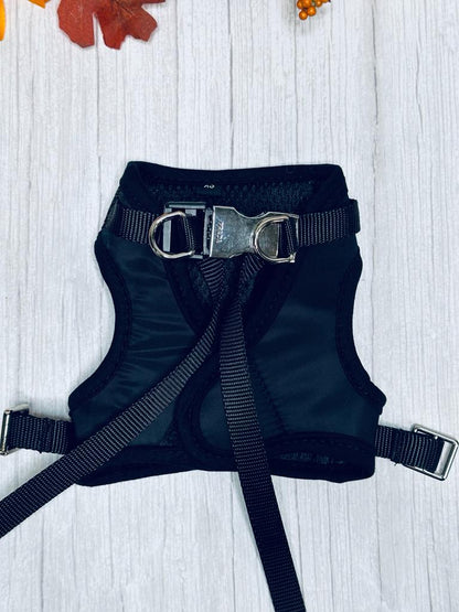 Conjunto de arnés y correa Pawda