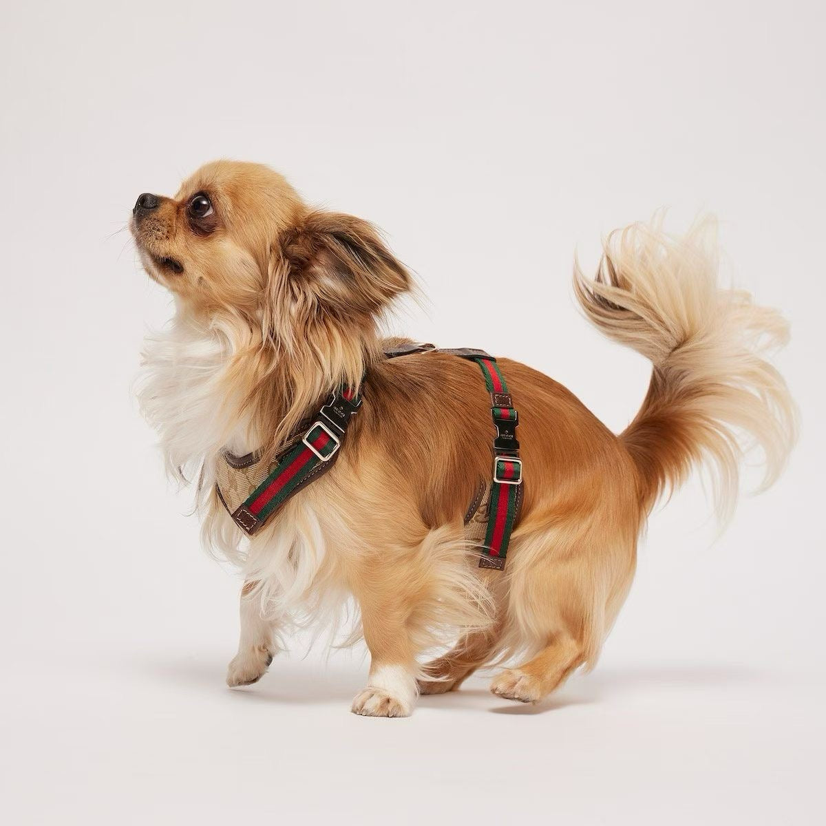 LUXURY LEATHER POOCHI HARNESS & LEASH