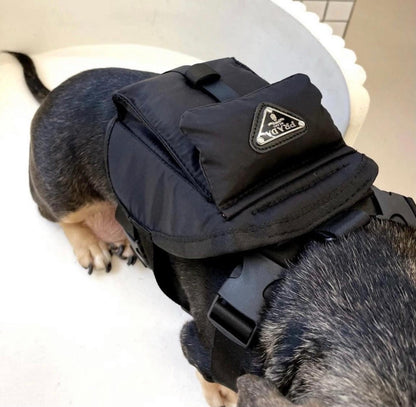 Bag (with little bag) with leash