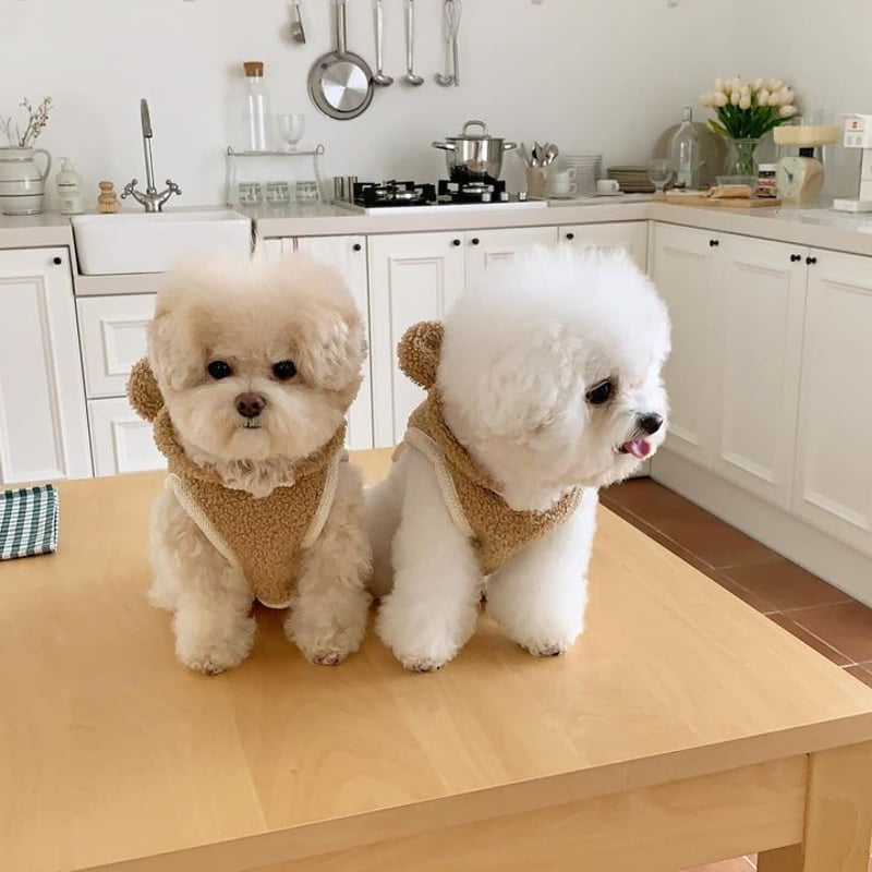 SOFTY BEAR FLEECE-HUNDEWESTE