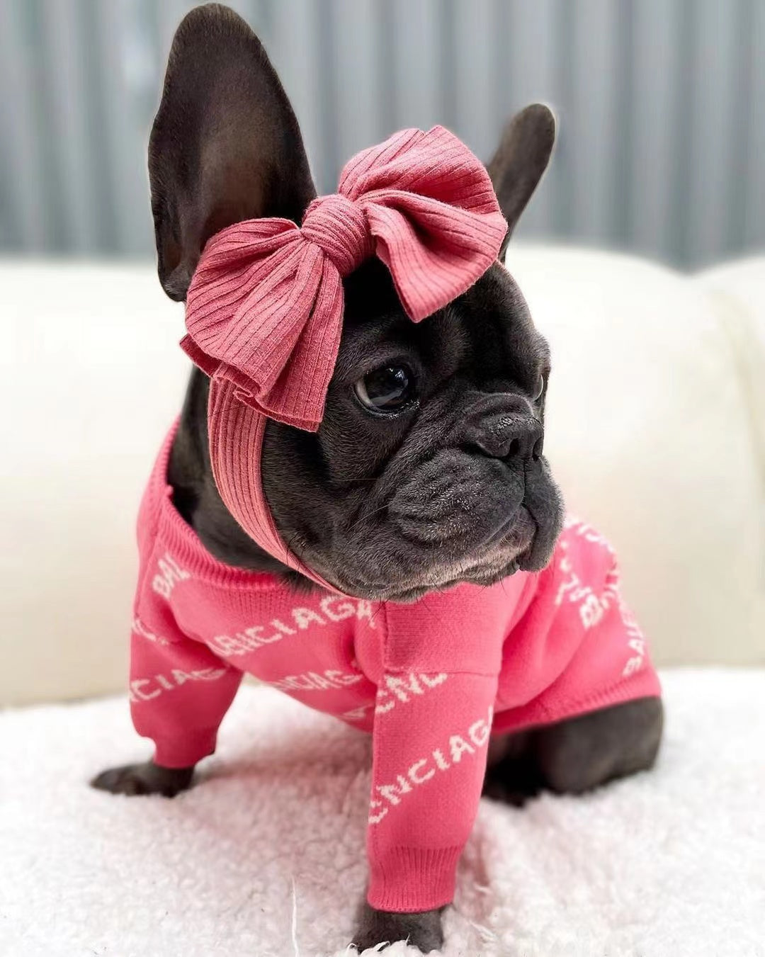 BALENCI SWEATER